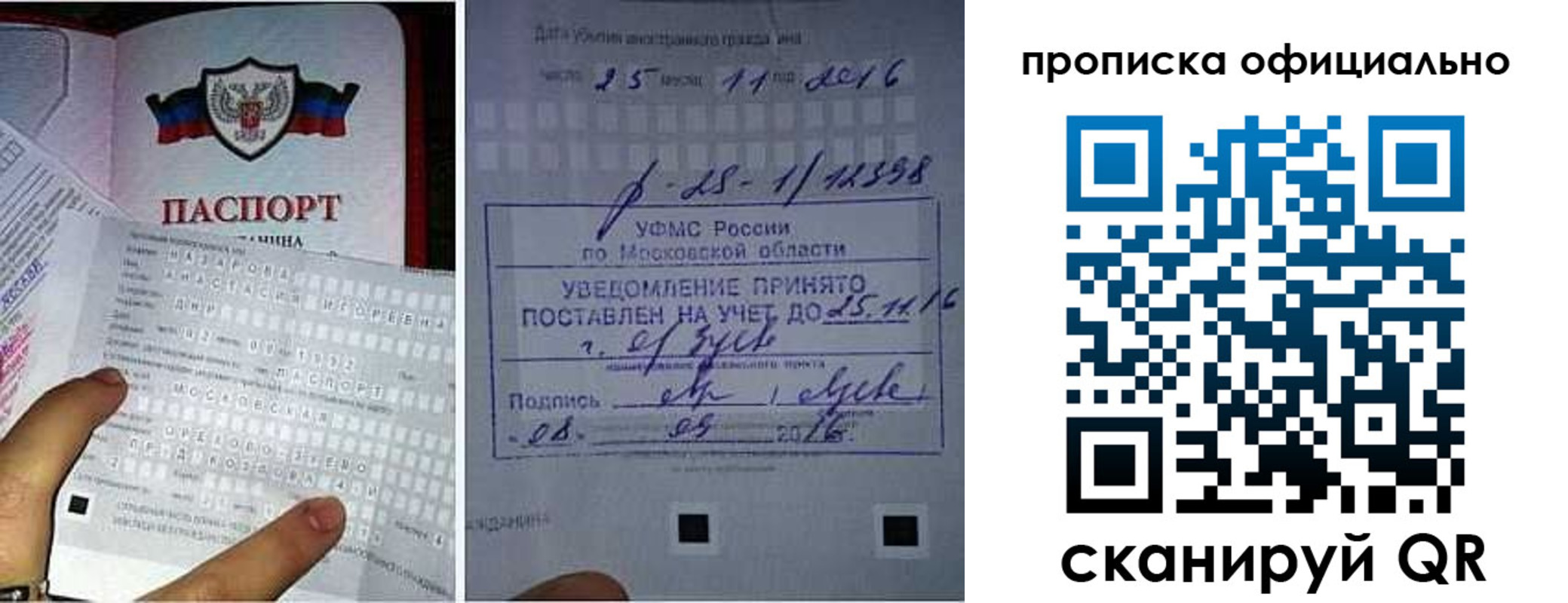 прописка паспорт в Барыше